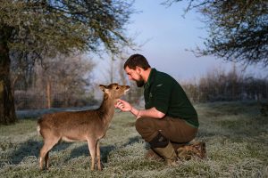 wildlife photography