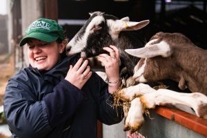 swivel brand photography